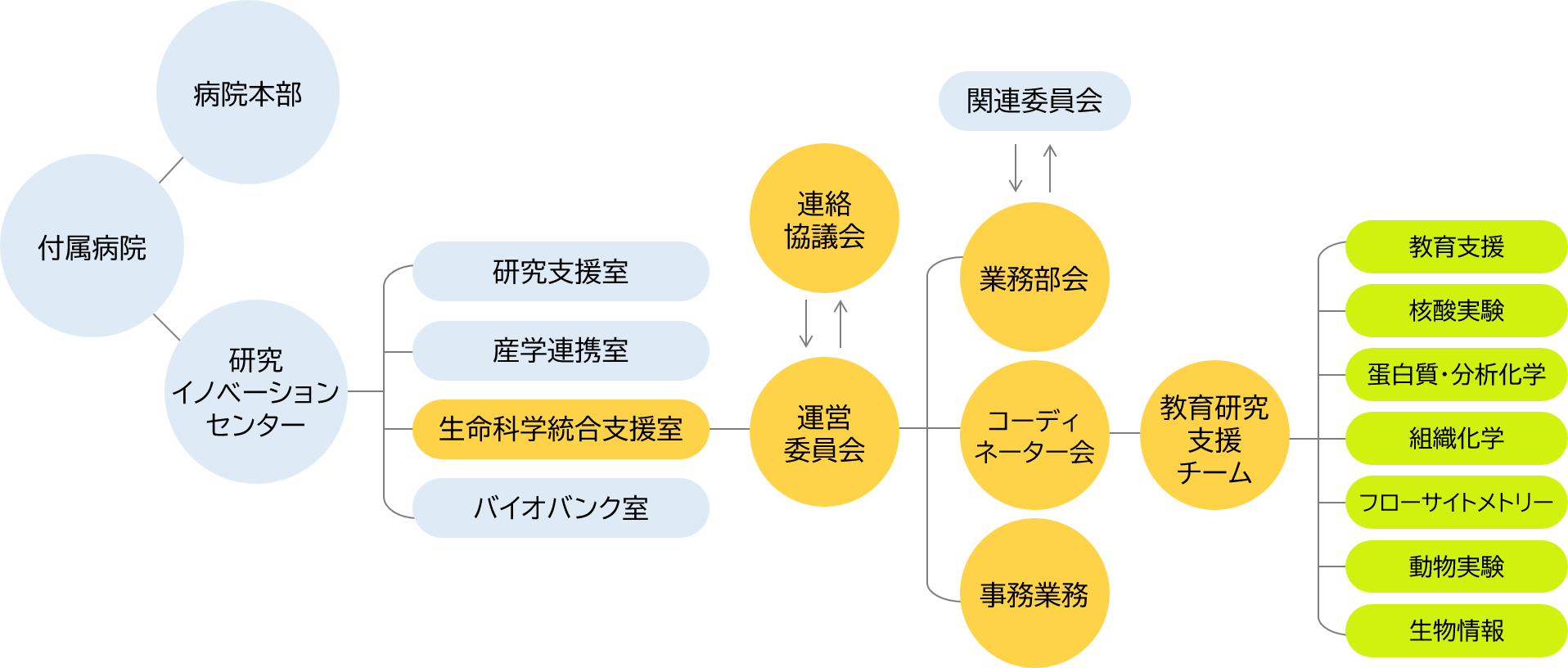 組織体制